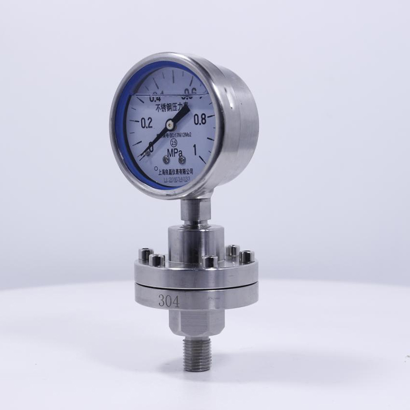 Y60-BFZ-ML 充油耐震-